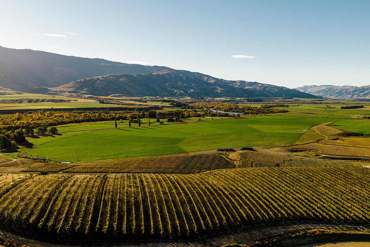 Bendigo Hills Otago