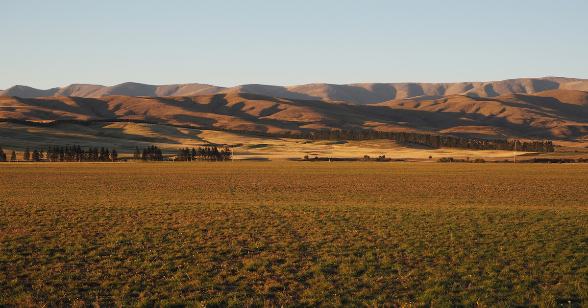 Home ORED Otago Regional Economic Development